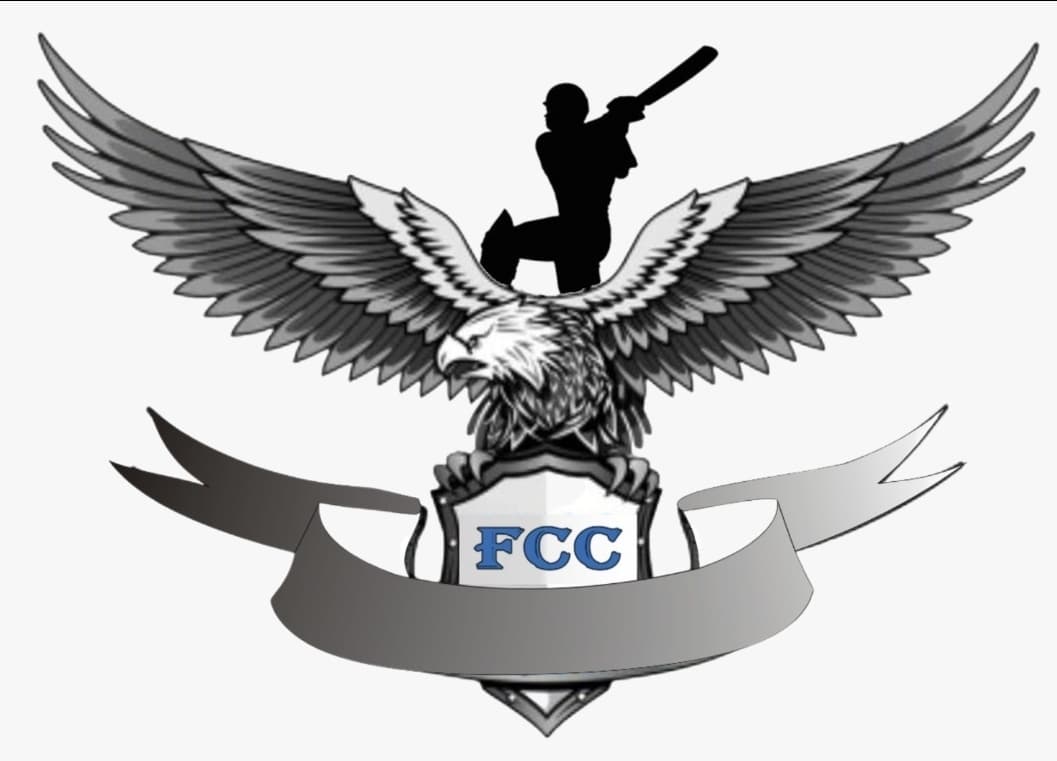 Friend X1 CC team logo