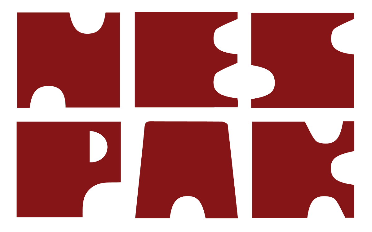 NesPak team logo