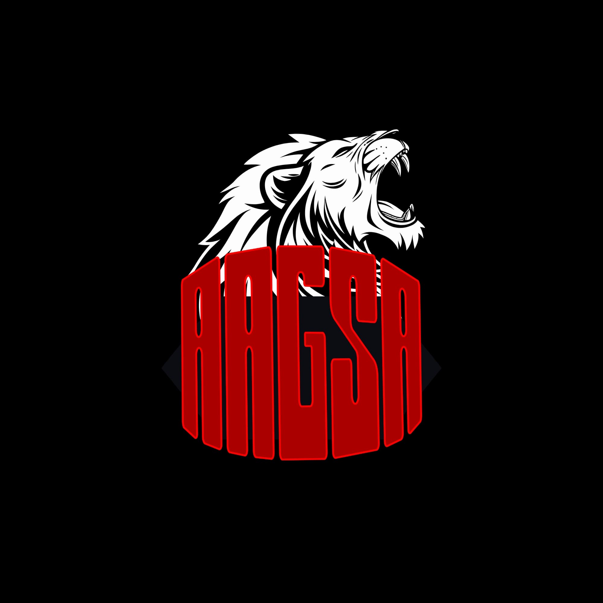 AAGSA team logo