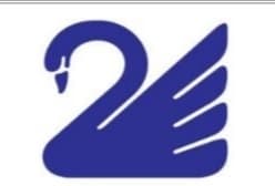 Kuwait Swedish. team logo