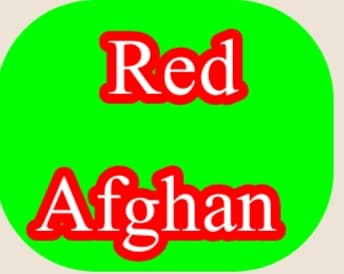 ریڈ افغان کرکٹ کلب