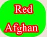 ریڈ افغان کرکٹ کلب