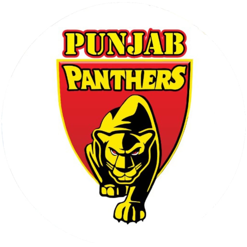 Punjab Panthers team logo