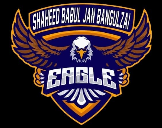 Shaheed Babul Jaan Eagles team logo