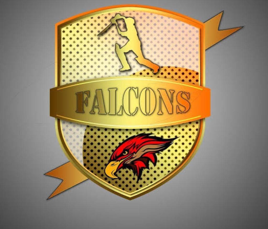 Falcons team logo