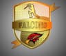 Falcons