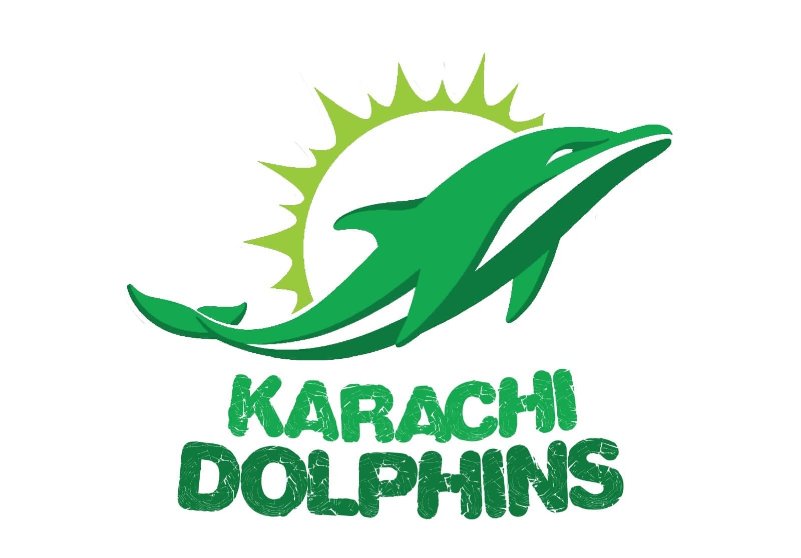 Karachi Dolphins team logo