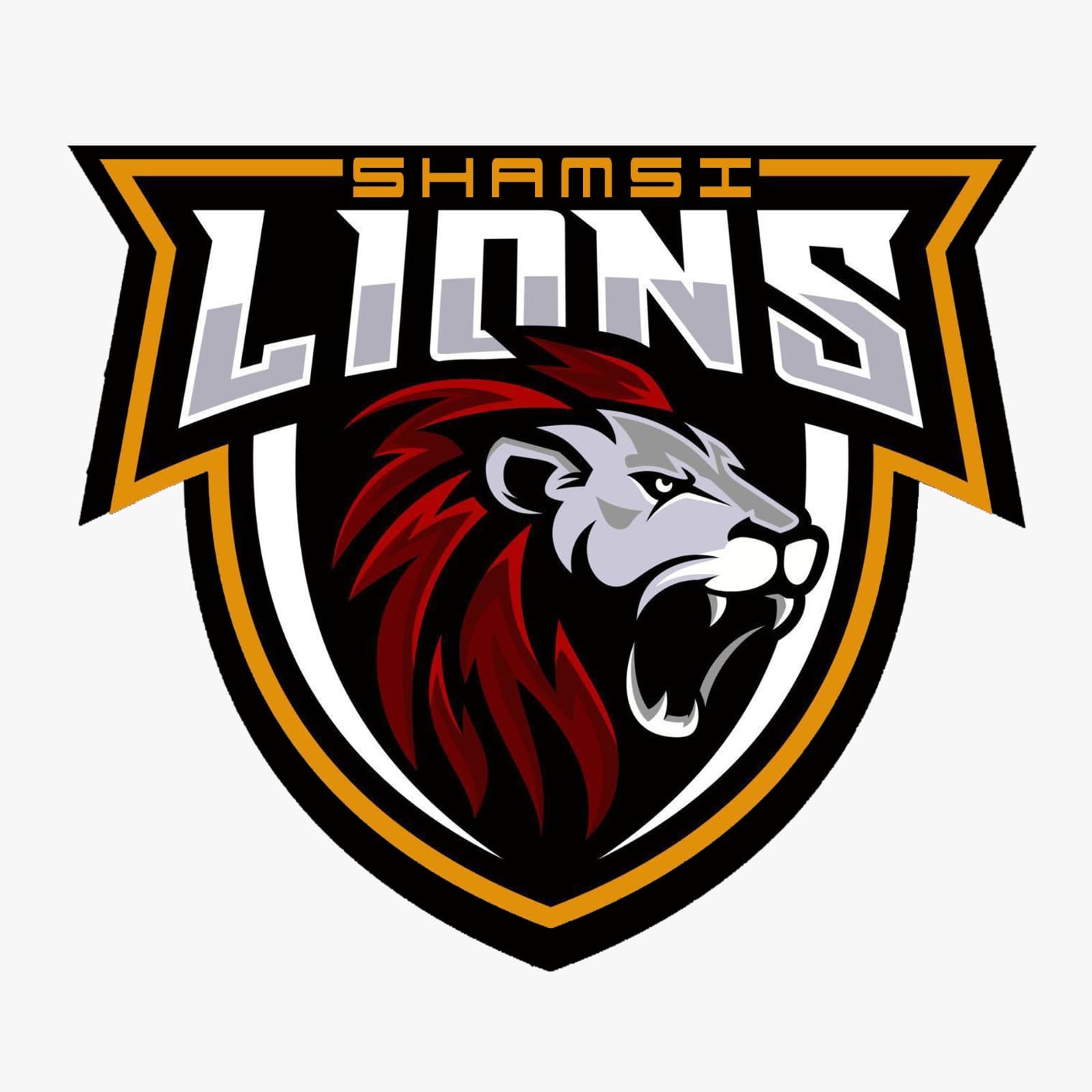 Shamsi Lions team logo
