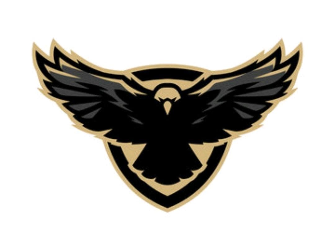 The FALCONS