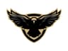 The FALCONS