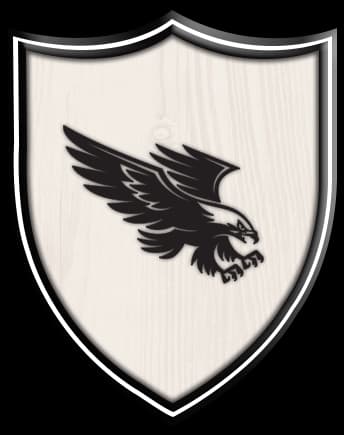 Shahrah-e-faisal Hawks