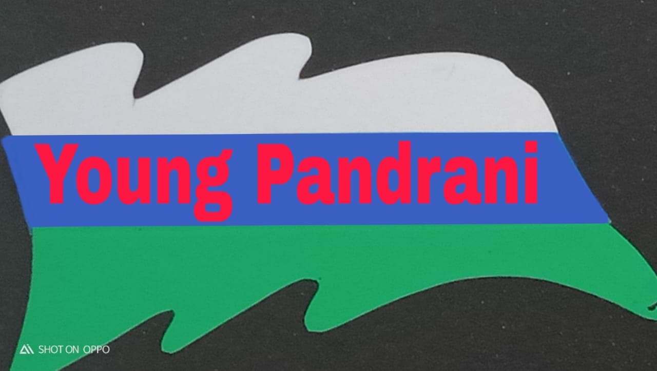 Shaheed Mehrab Pandrani team logo