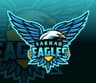 Sarhad Eagle