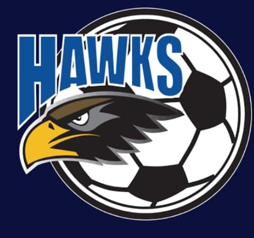 FSD HAWKS