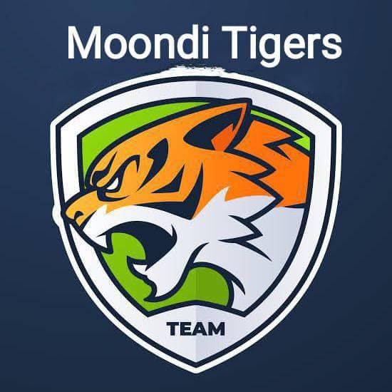 Mondi Tigers