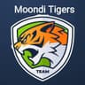 Mondi Tigers