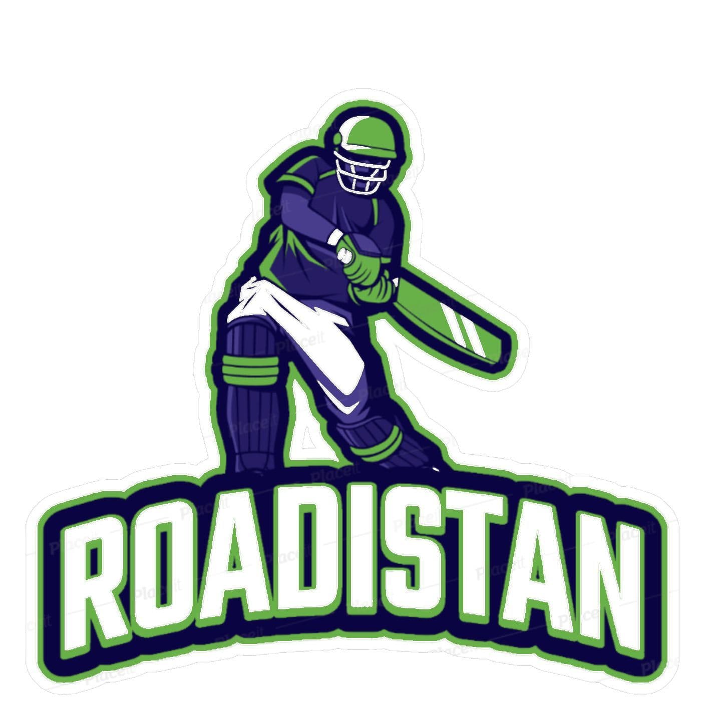 ROADI    STAN team logo