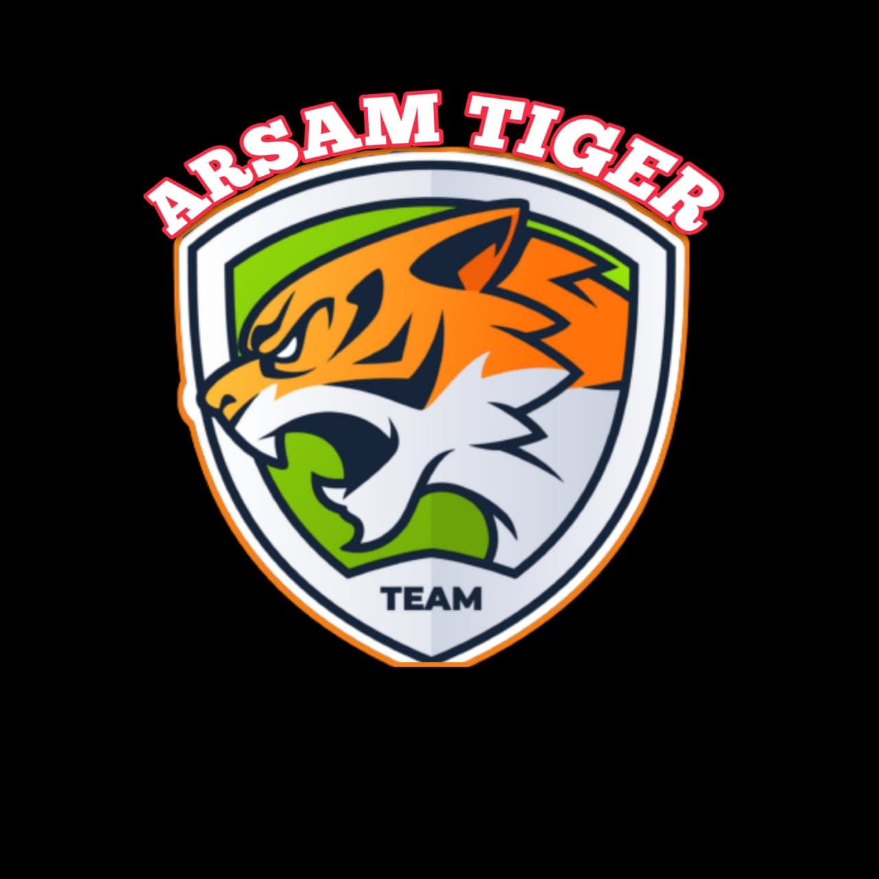 Arsam Tigers team logo