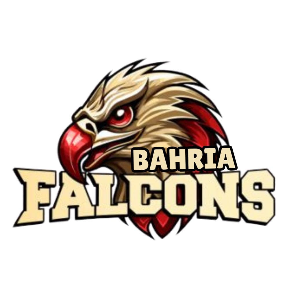 Bahria Falcons
