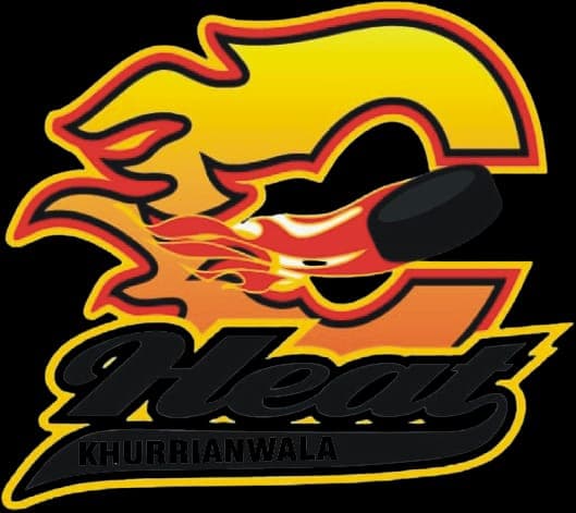 Heat team logo