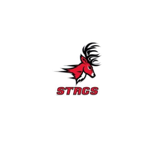 UOL STAGS