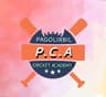 PAGOLIRBIL CRICKET ACADEMY