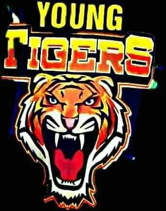 Young Tigers team logo