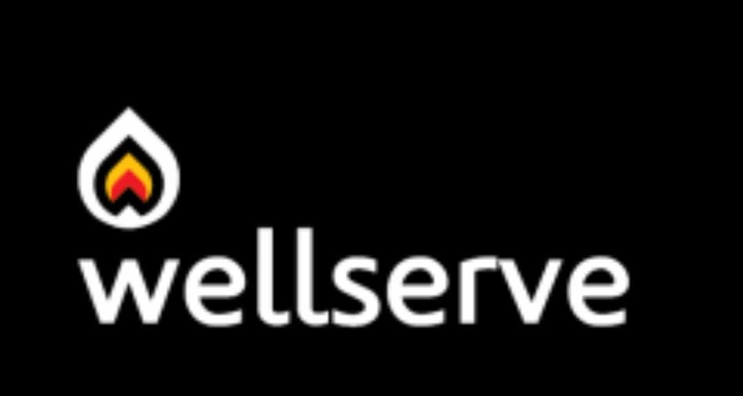 Wellserve team logo