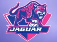 Jaguar team logo