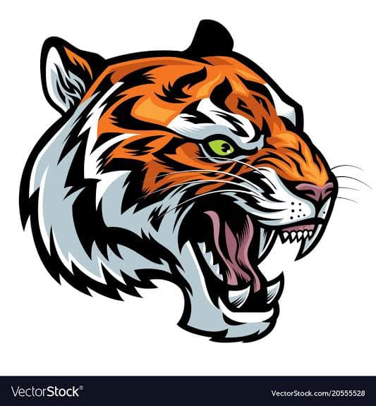 Bhangar Tigers team logo