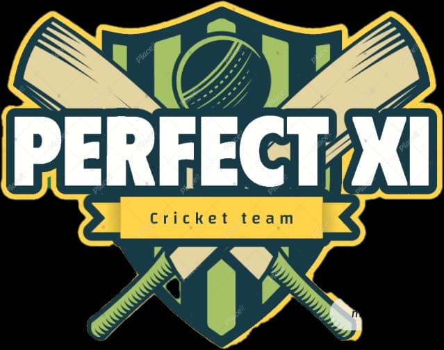 PERFECT XI team logo