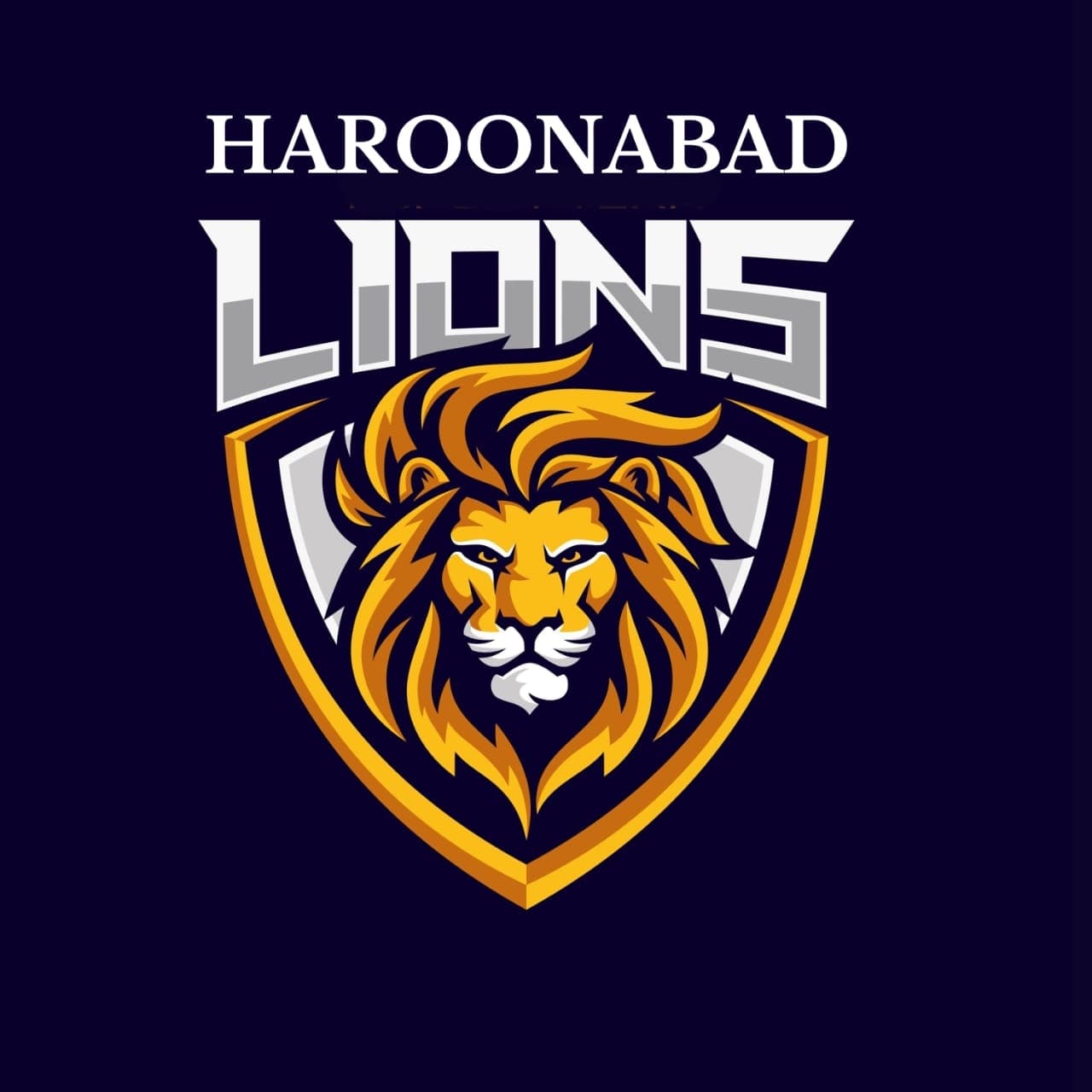 Haroonabad Lions