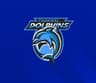 Chakwal dolphins