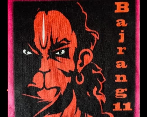 BAJRANG XI team logo