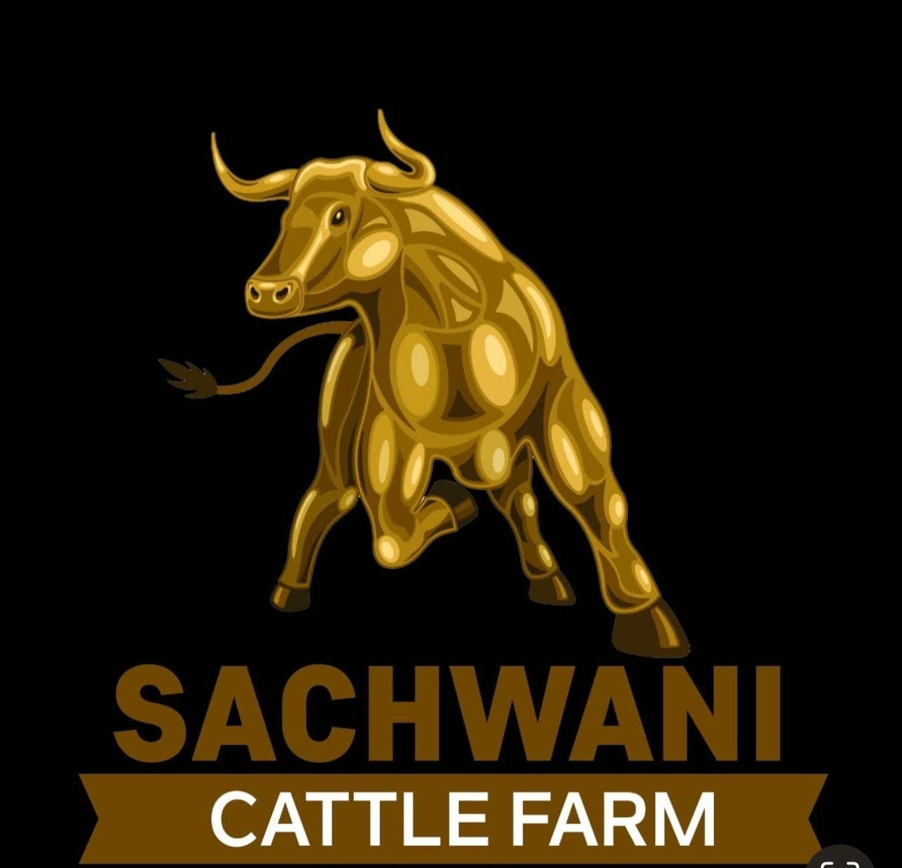 Sachwani Cattle Farm team logo