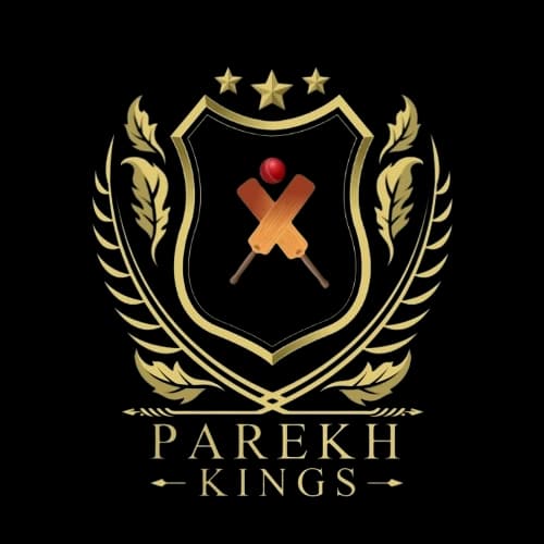 Parekh Kings team logo