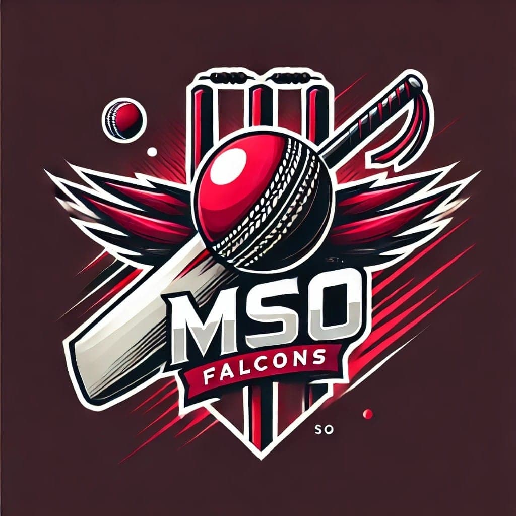 Dr Baber team logo