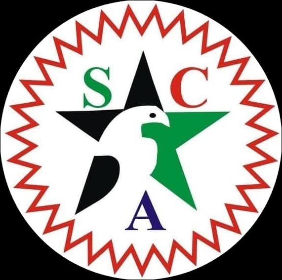 Shaheen Cricket Academy