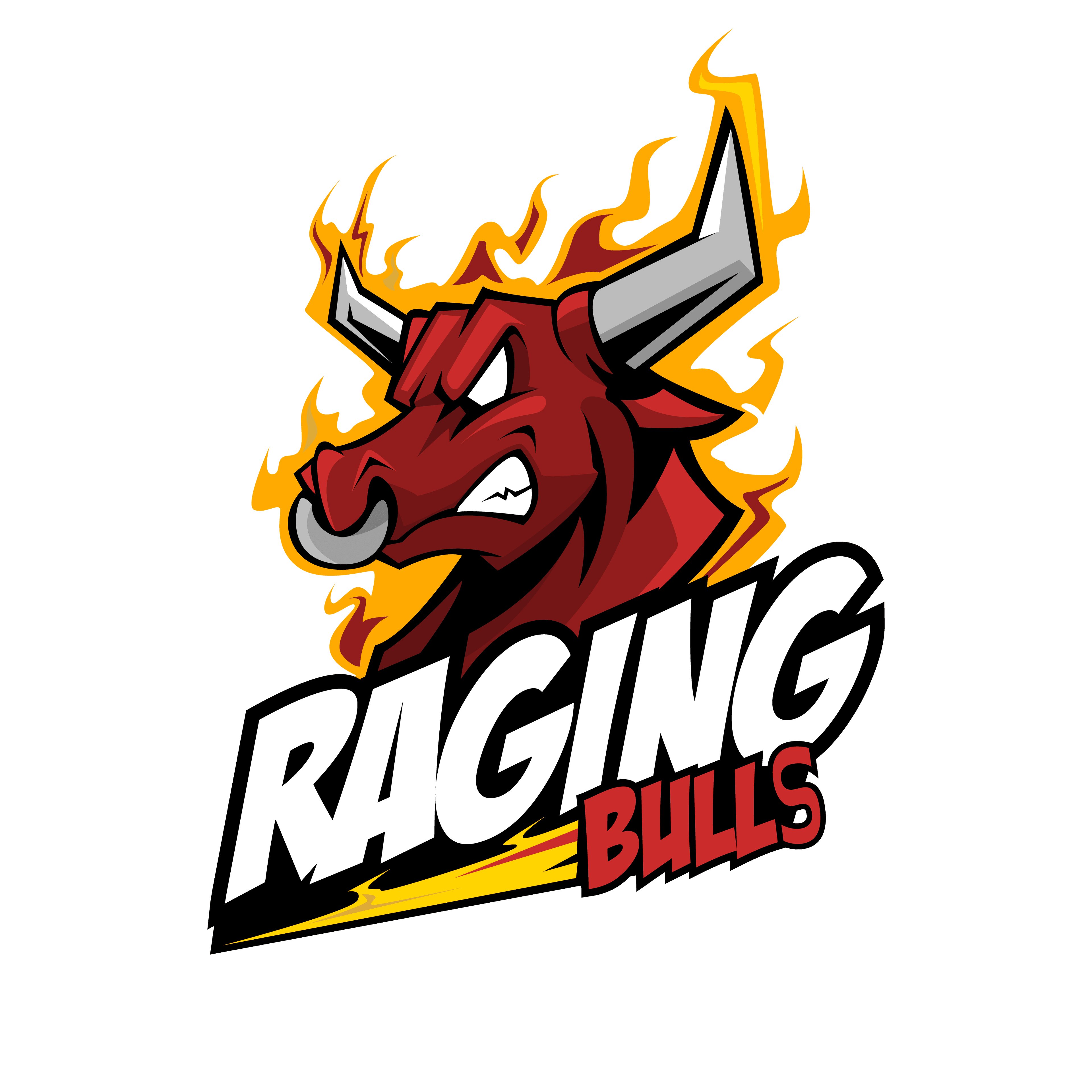 TFS Raging Bulls S3 team logo