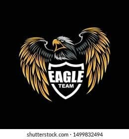 Bahtti Eagles team logo