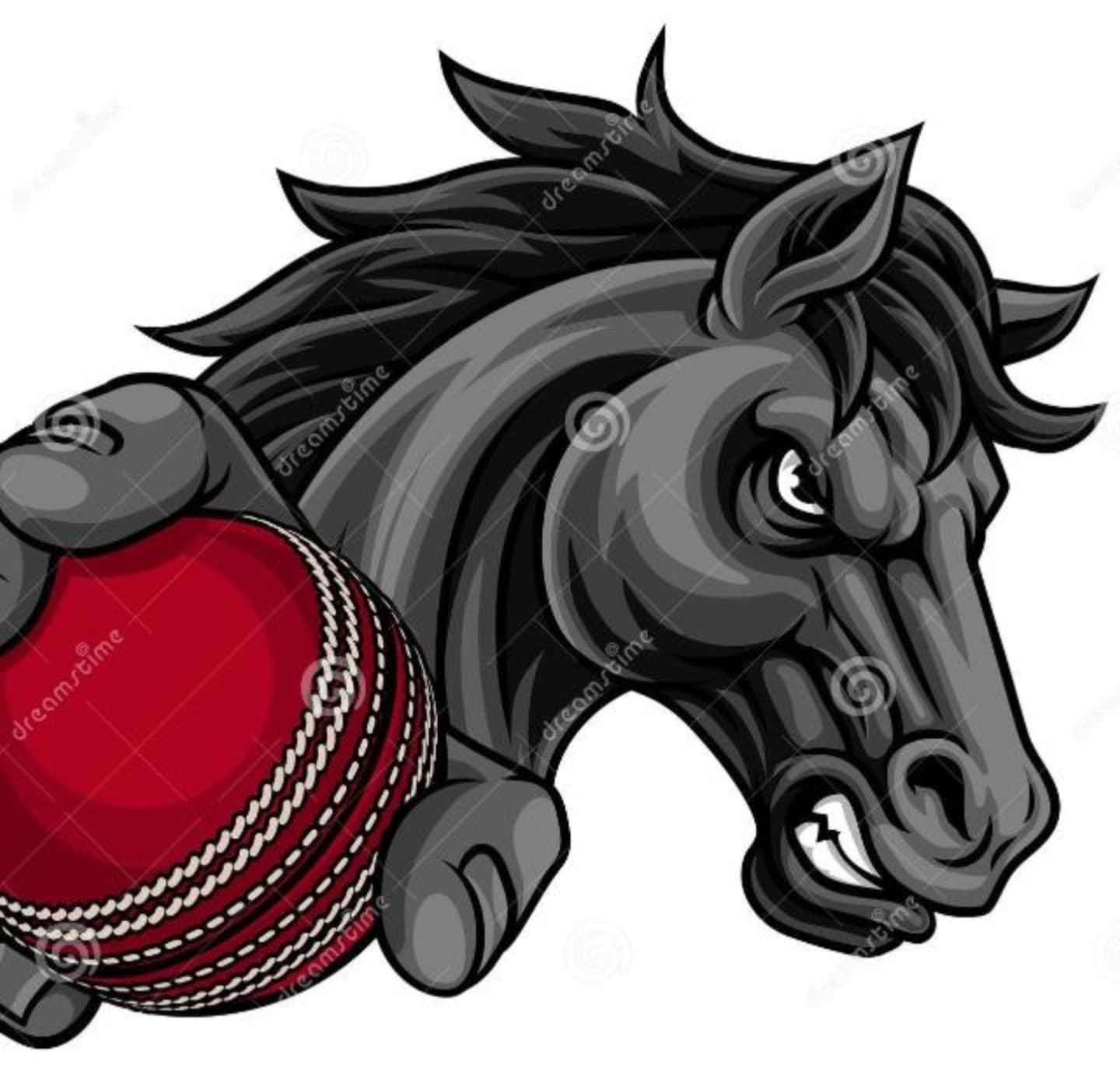 XI horses