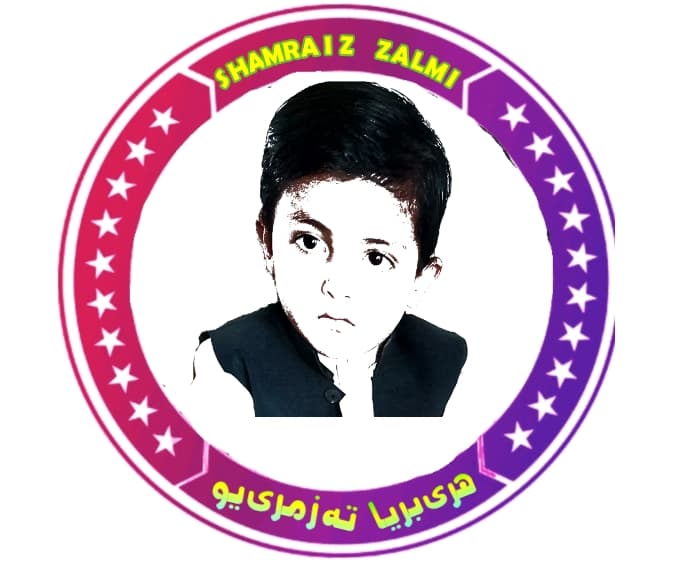 SHAMRAIZ ZALMI team logo