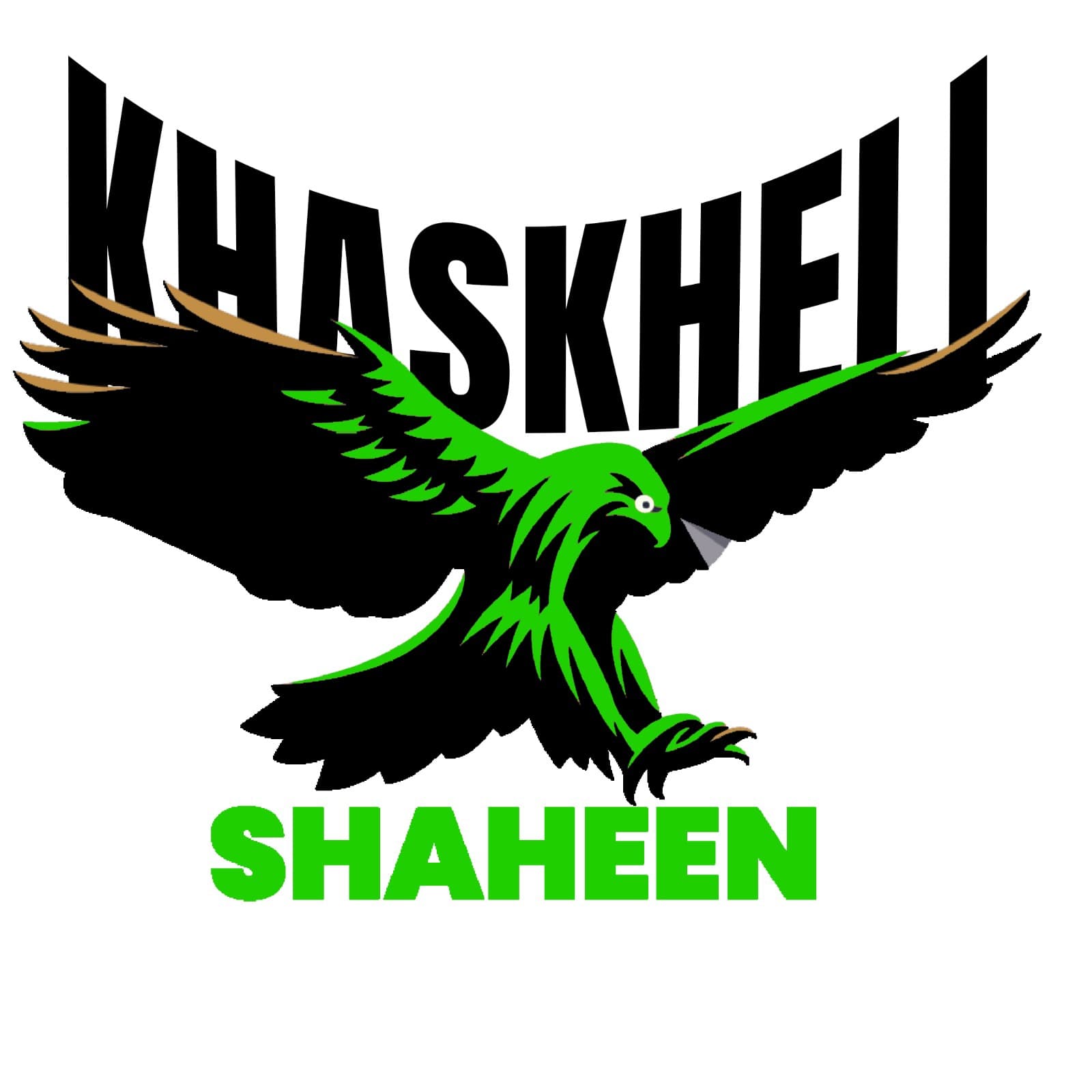 Khaskheli ShaheeN team logo