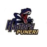 Raptors Puneri