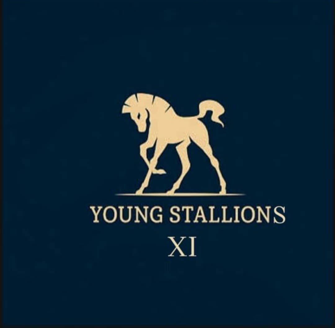 YOUNG    STALLIONS