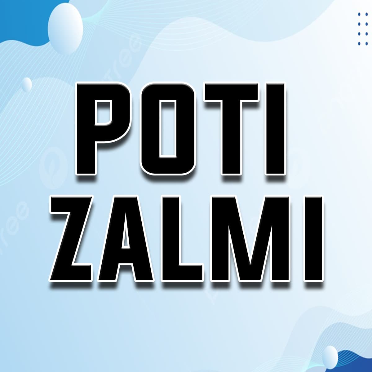 Poti Zalmi CC