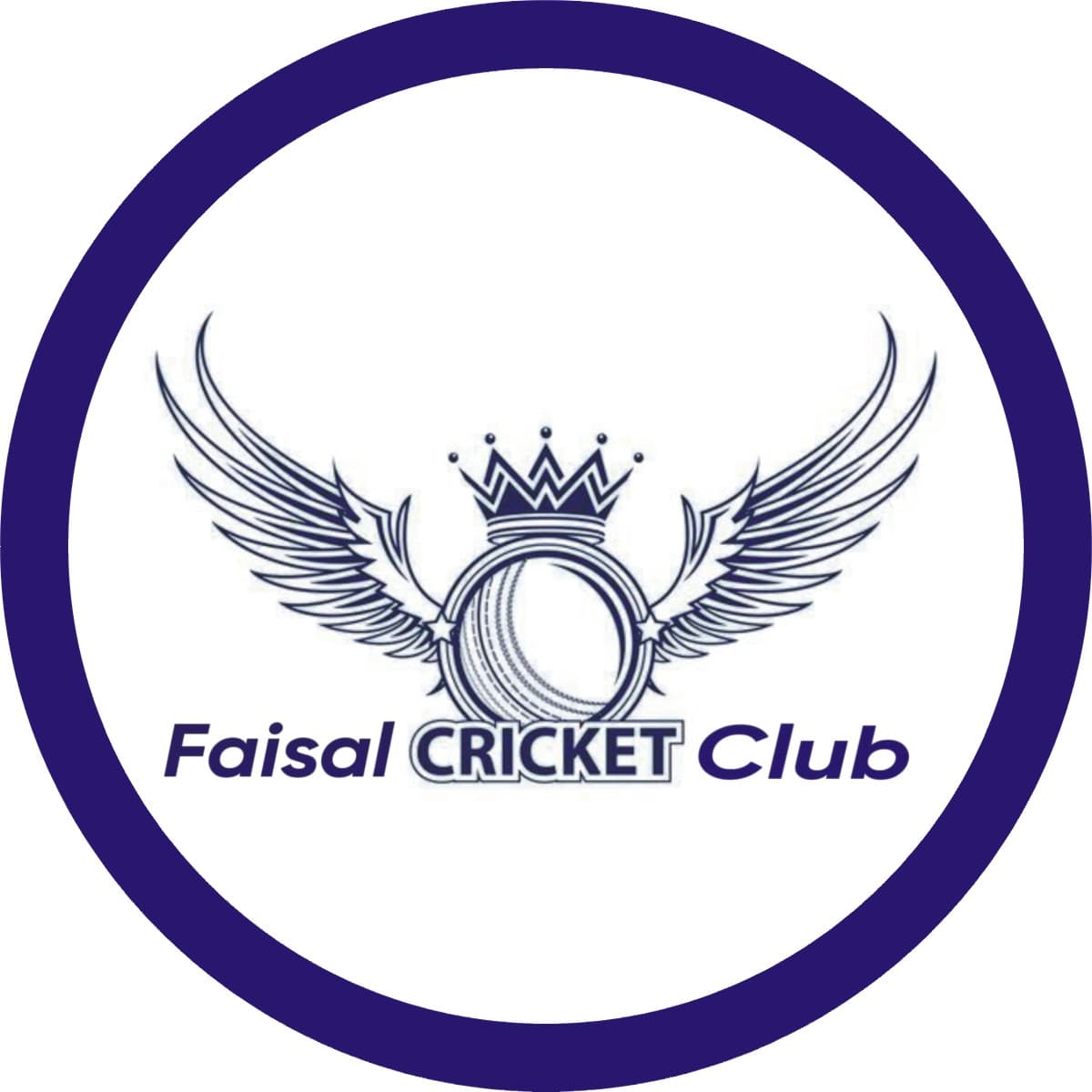 FAISAL CRICKET ACADEMY team logo