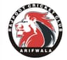 Rajpoot Cricket Club Arifwala