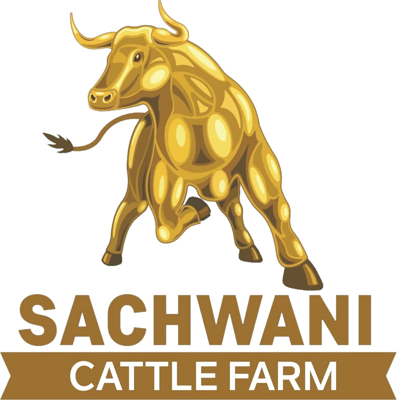Sachwani Cattle Farm team logo