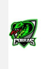 UOL COBRAS team logo